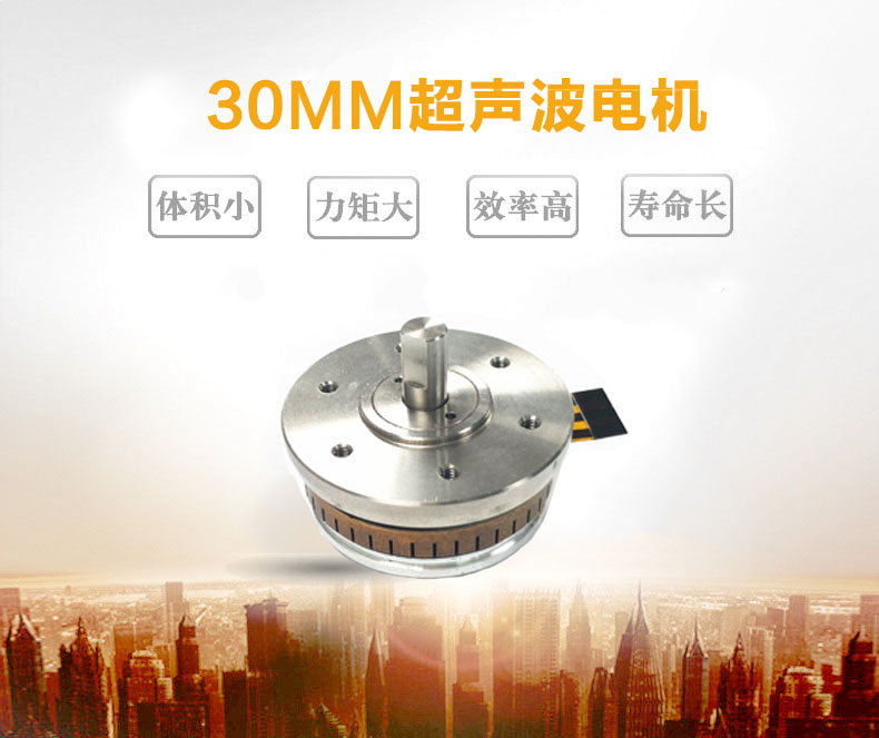 30mm微型电机厂家